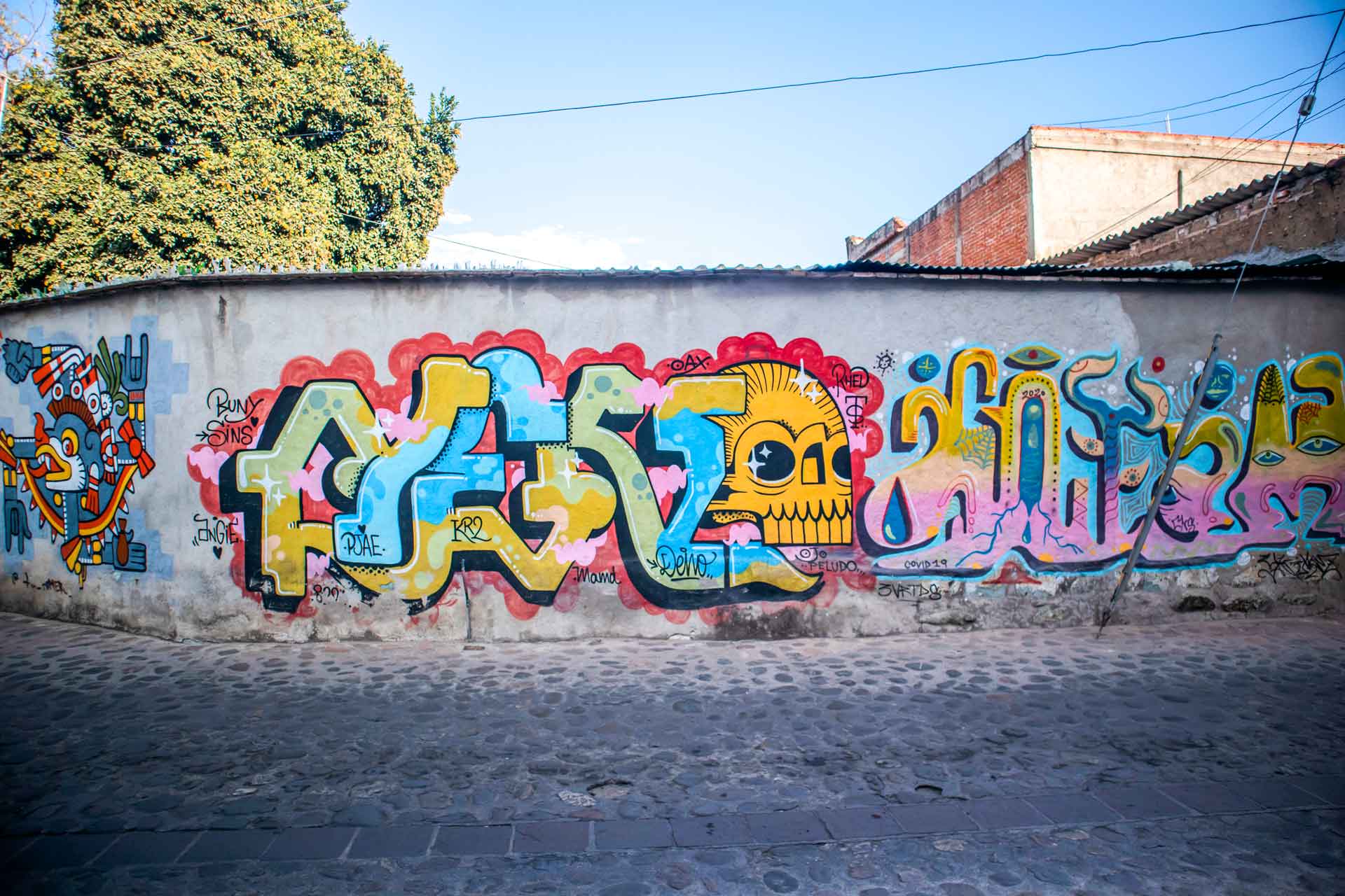 Galería imagen 1