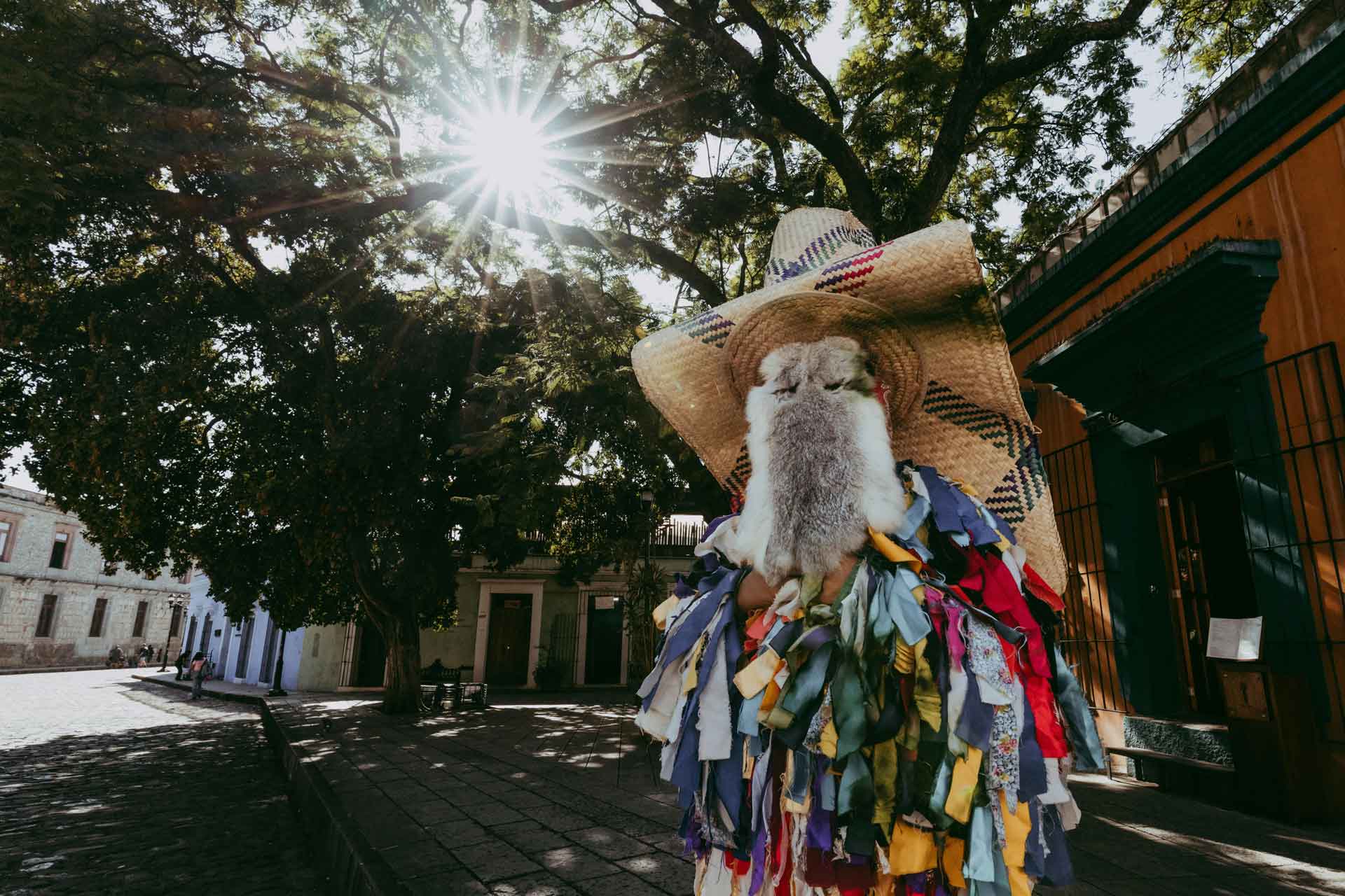Galería imagen 1