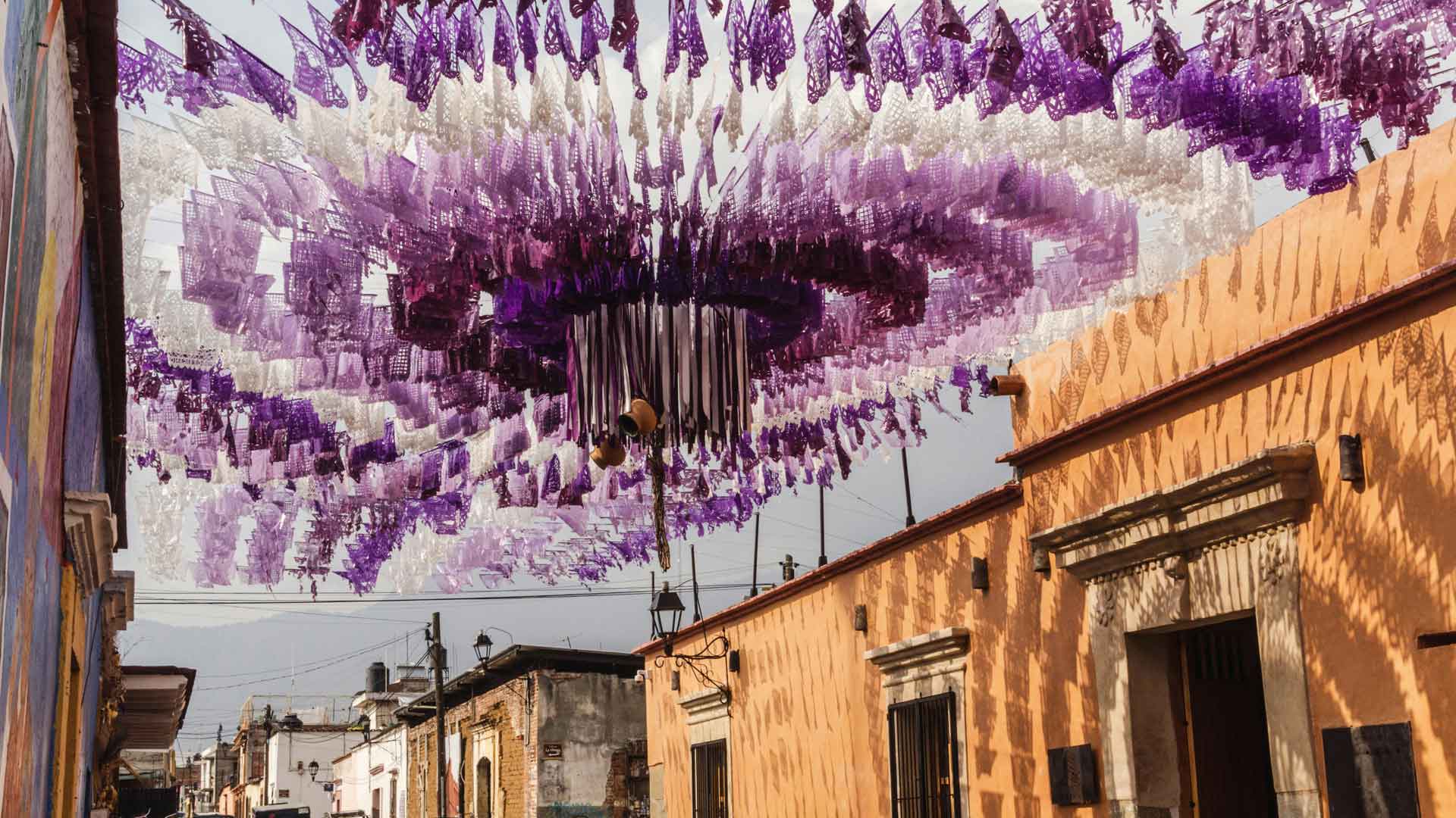 Galería imagen 6